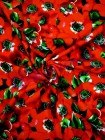 Костюмна з принтом дольче "Маки"
